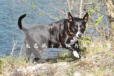 先送孩子上班再回公司，途中遇車禍算不算工傷？